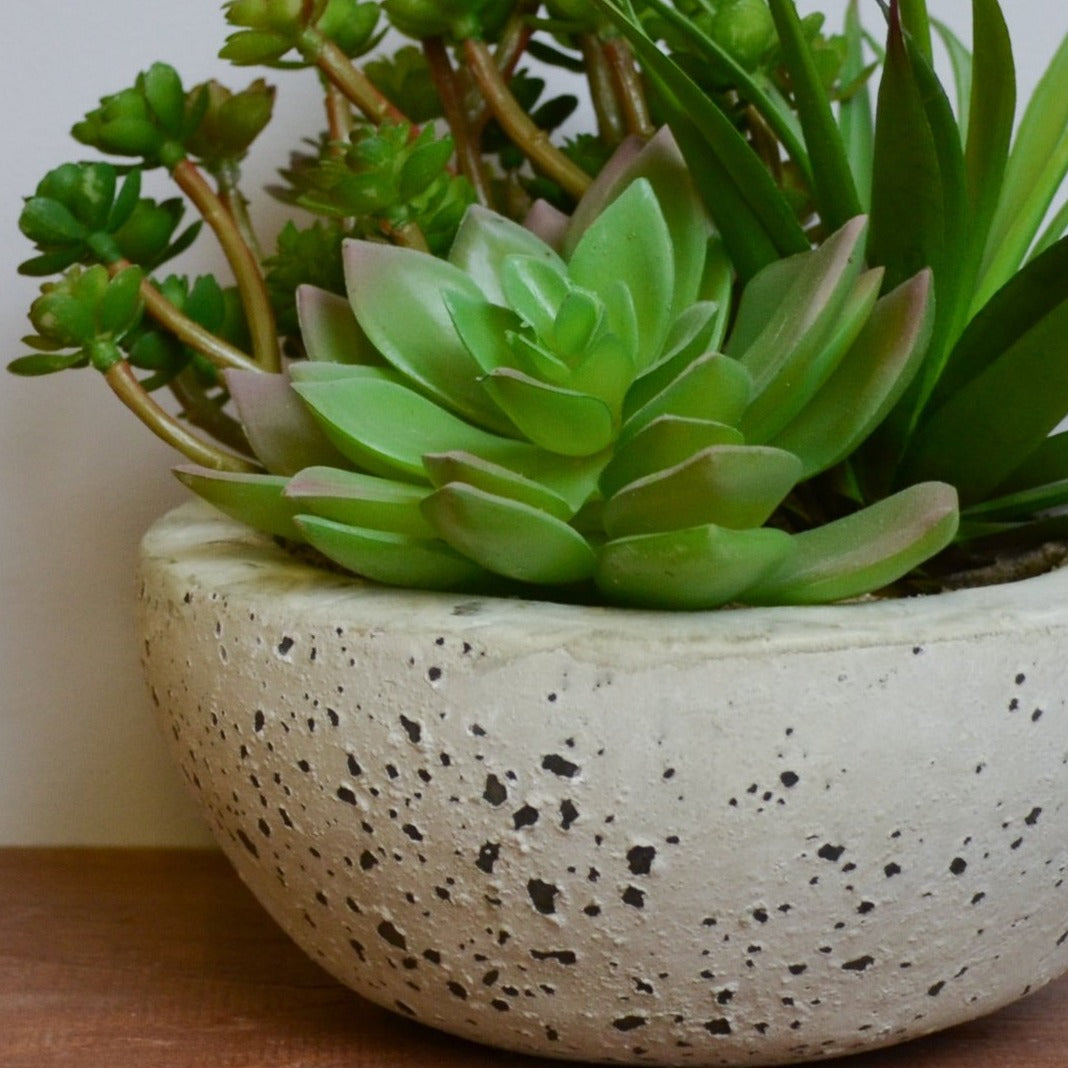 Faux Succulent Garden Bowl